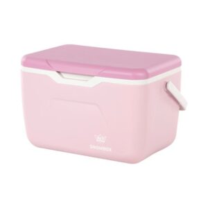 Cooler Snowbox 20 L Rey