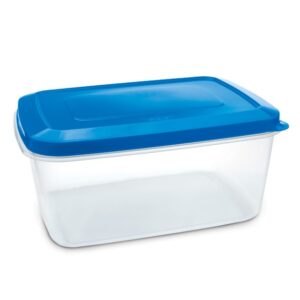 Conservador & Organizador Rectangular 20 L Rey